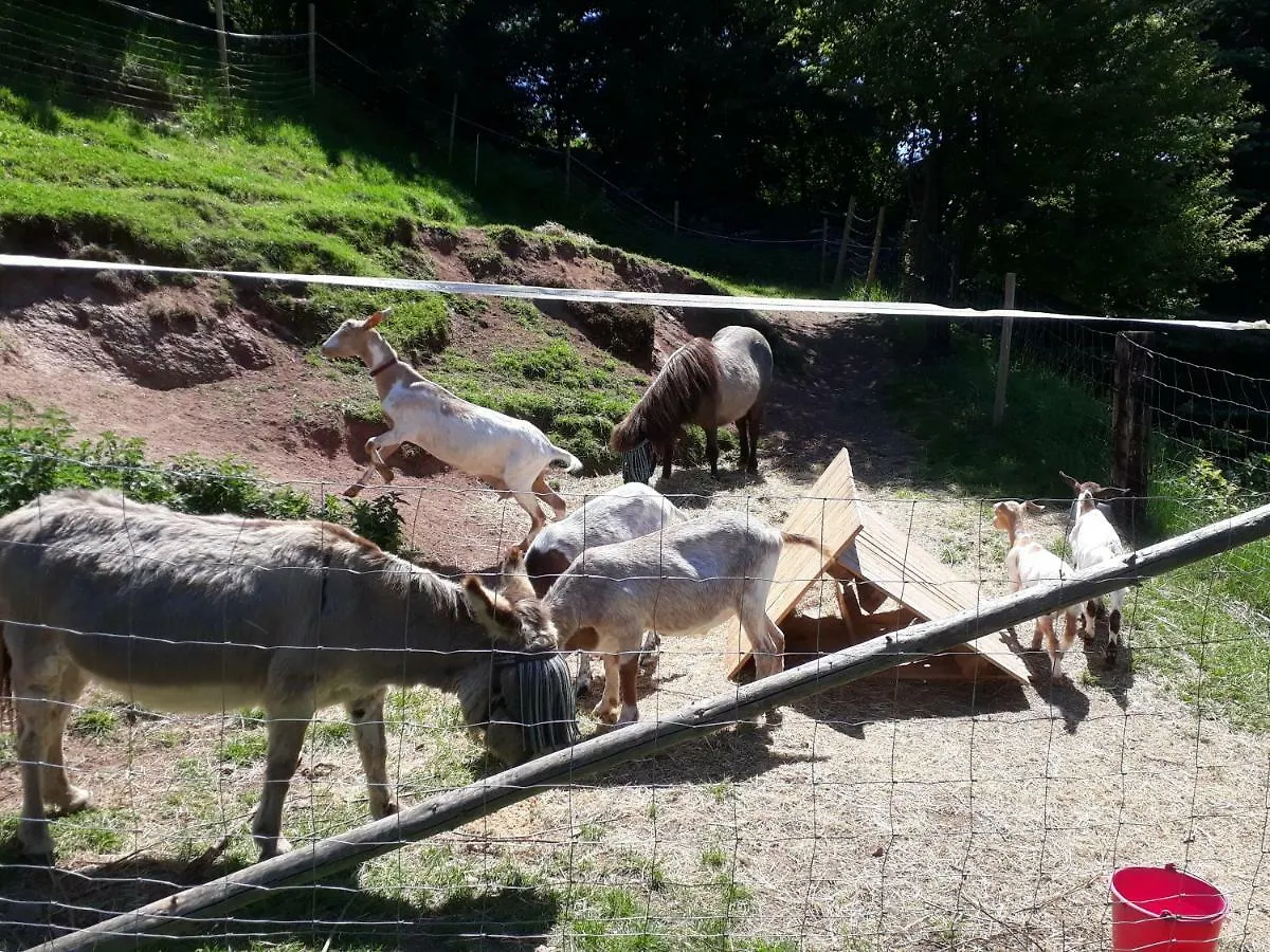 Farm stay Alter Hof Villa Moerlenbach