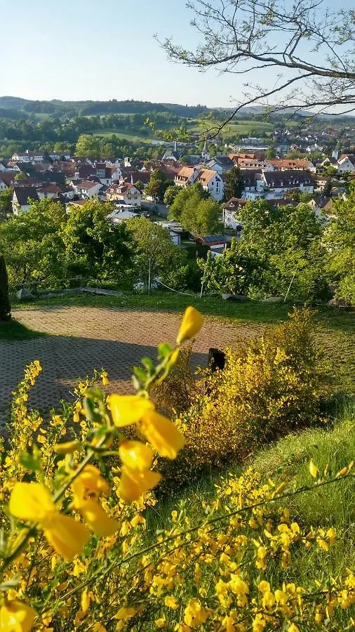 Alter Hof Βίλα Mörlenbach Χαϊδελβέργη